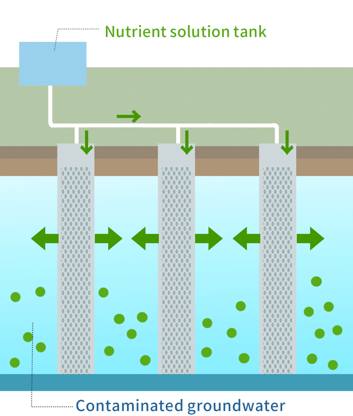 Bioremediation Method